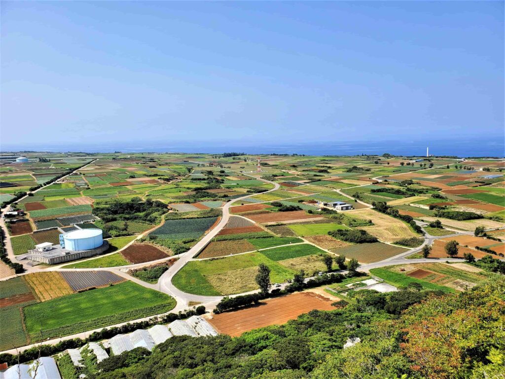 伊江島タッチュー頂上からの田畑が広がる風景