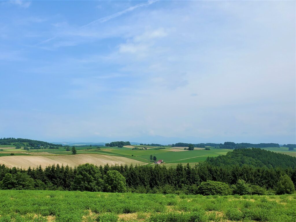 緑の丘陵地帯が広がる新栄の丘展望公園の風景