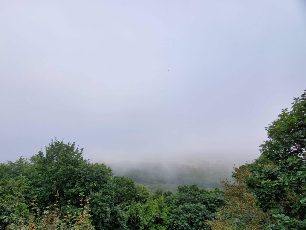 霧深いサテライト展望台からの風景