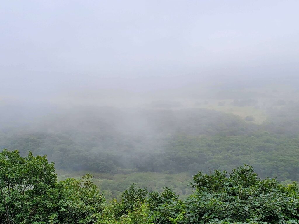 霧の間から少し湿原が見えるサテライト展望台からの風景